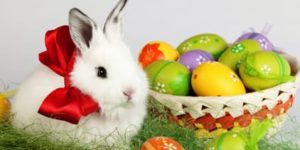 Disegni da colorare del coniglietto di Pasqua