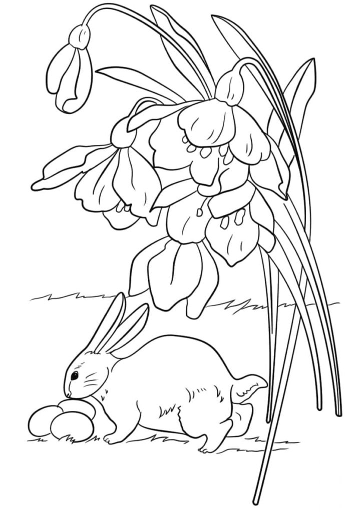 Kaninchen und Blumen