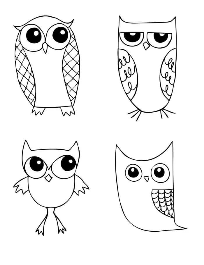 interesting owls