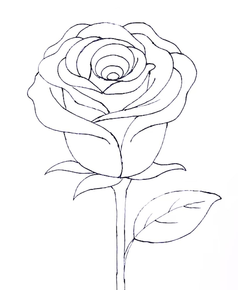 Роза легкий рисунок