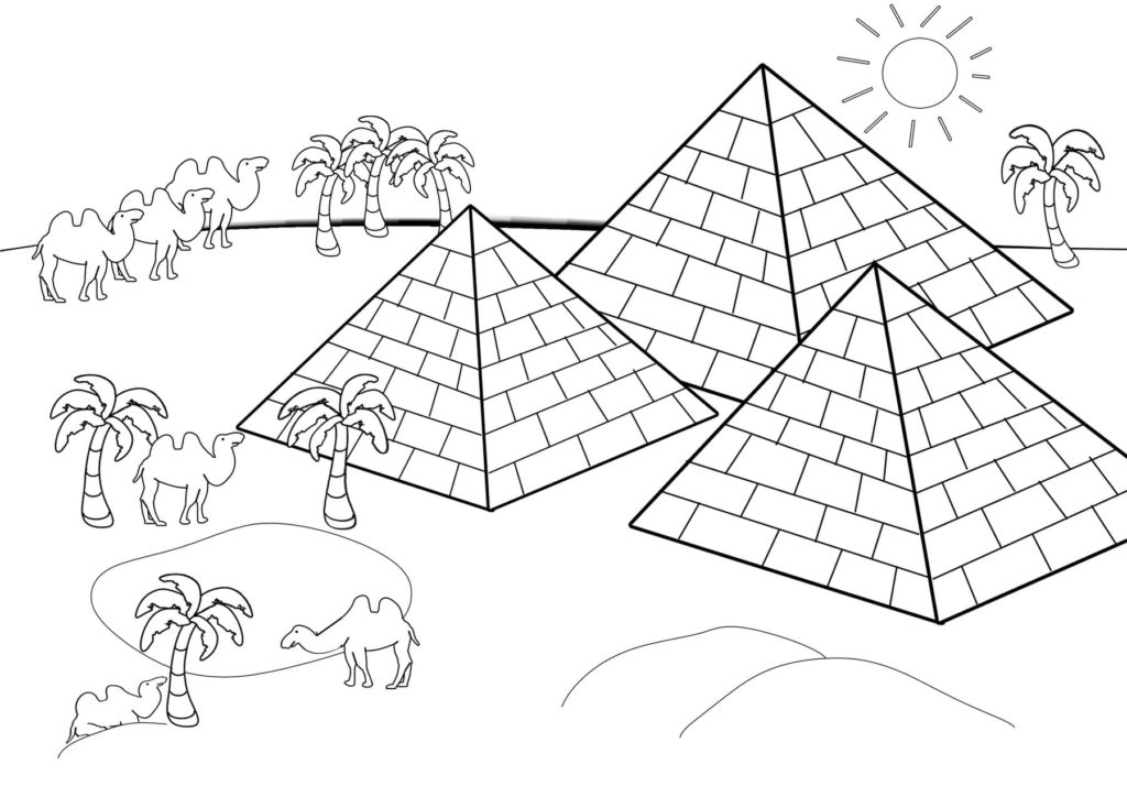 pirâmides e camelos