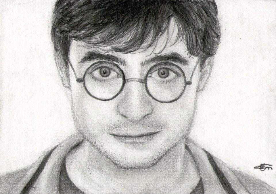 Adult Harry Potter
