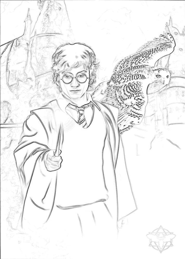Harry Potter pencil drawing | WONDER DAY — Coloring pages for children ...