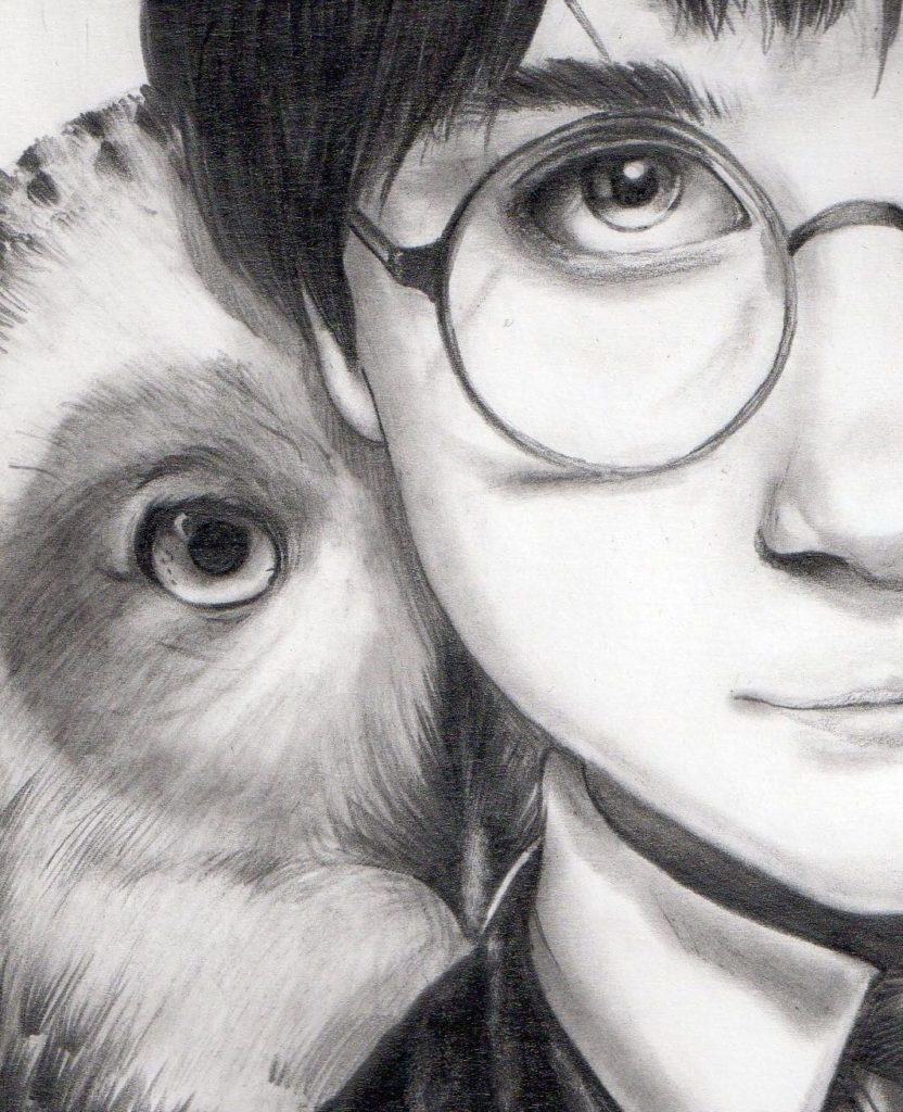 Harry Potter and owl