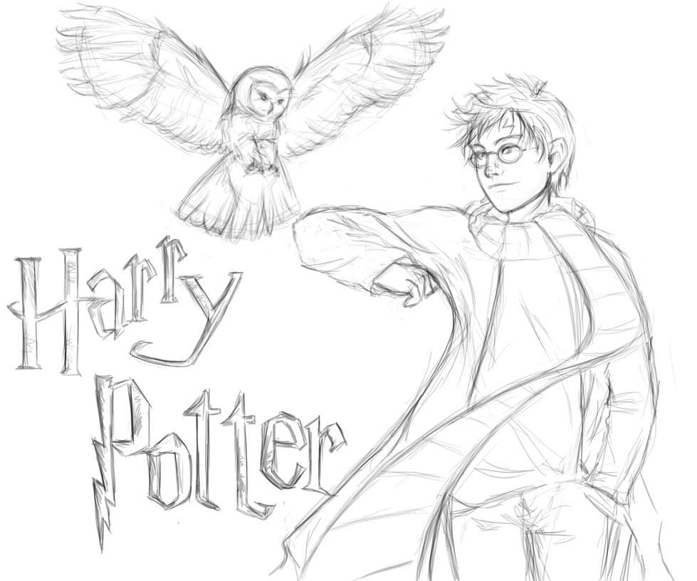 Harry Potter et Hedwige