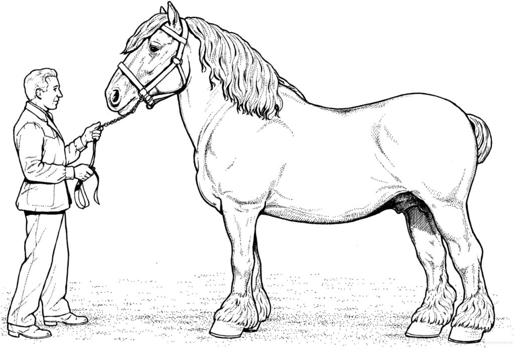 Реалистичная лошадь