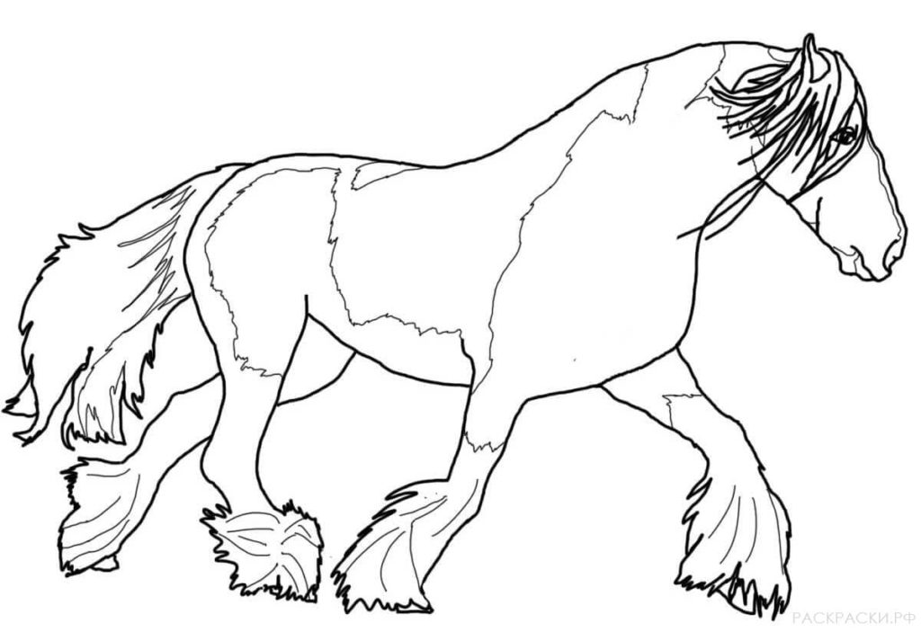Мохнатая лошадь