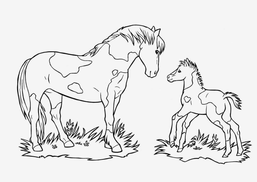 família de cavalos