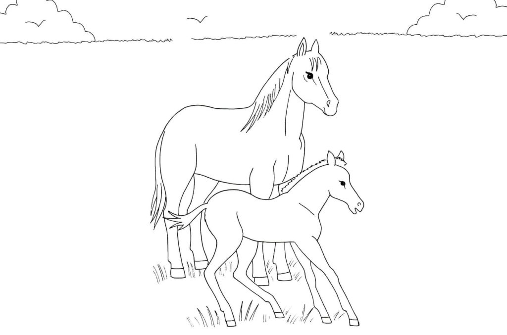 Dois cavalos na natureza
