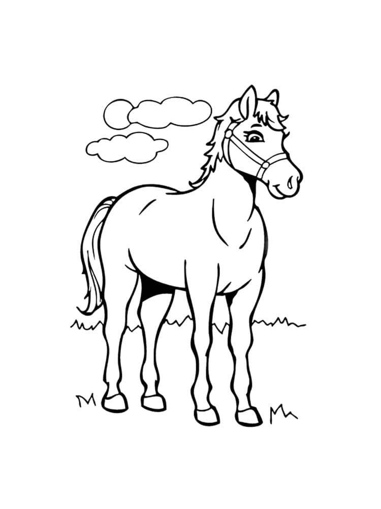 Cavallo e nuvole