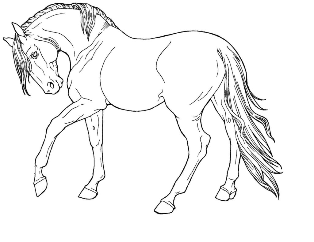 Desenho de Cavalo pulando baia para colorir - Tudodesenhos