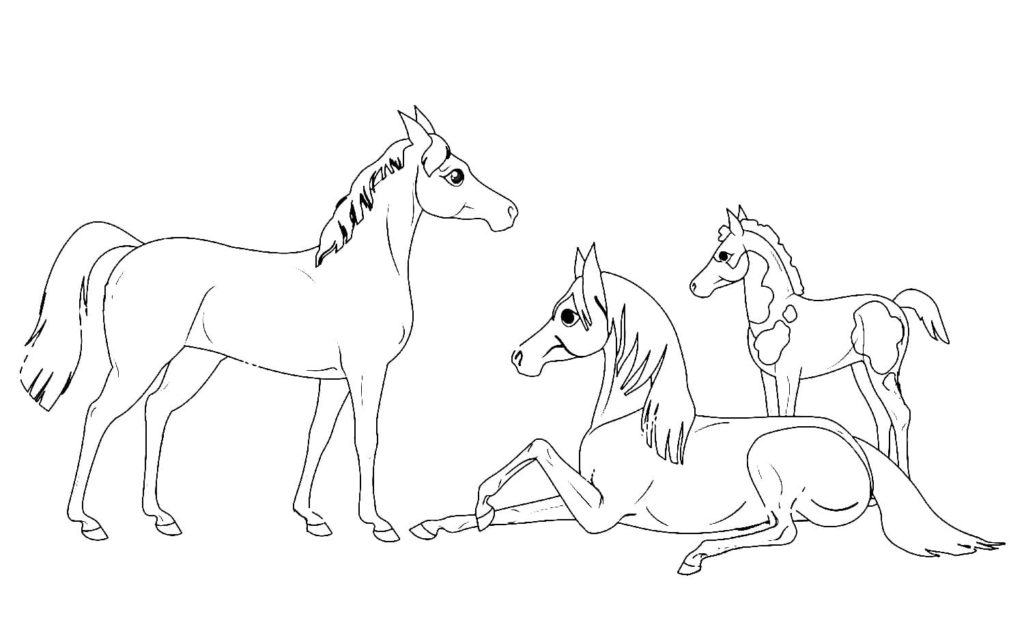 família de cavalos