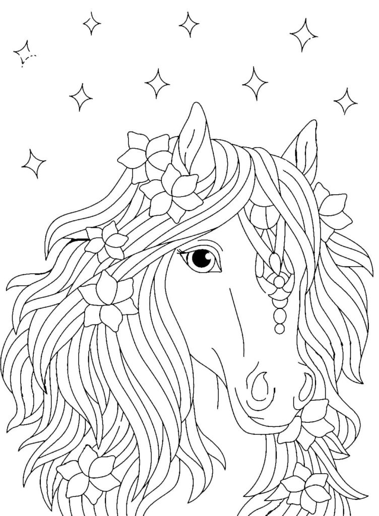 linda garota cavalo