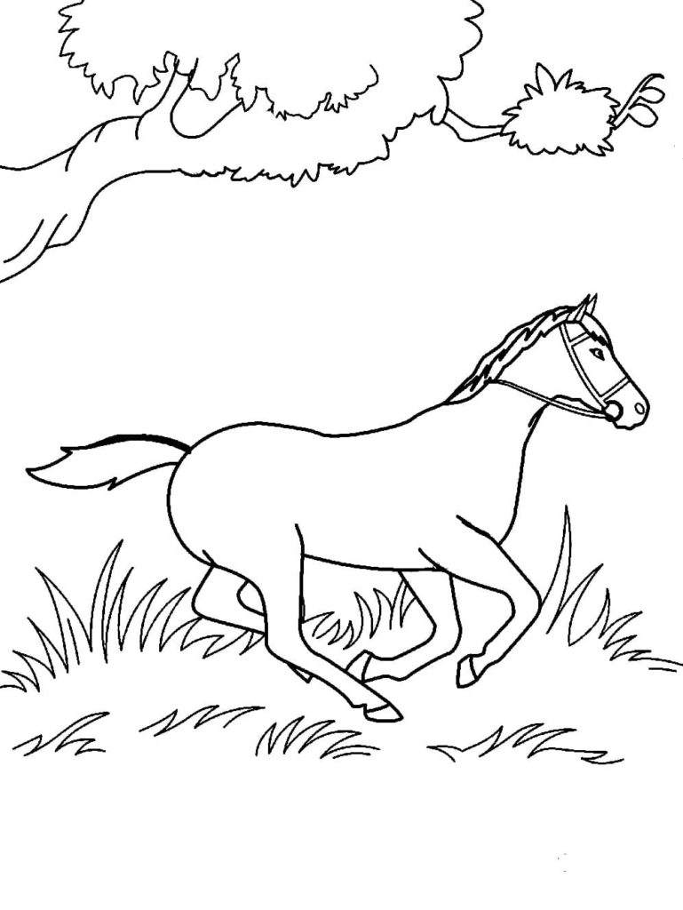 caballo al galope