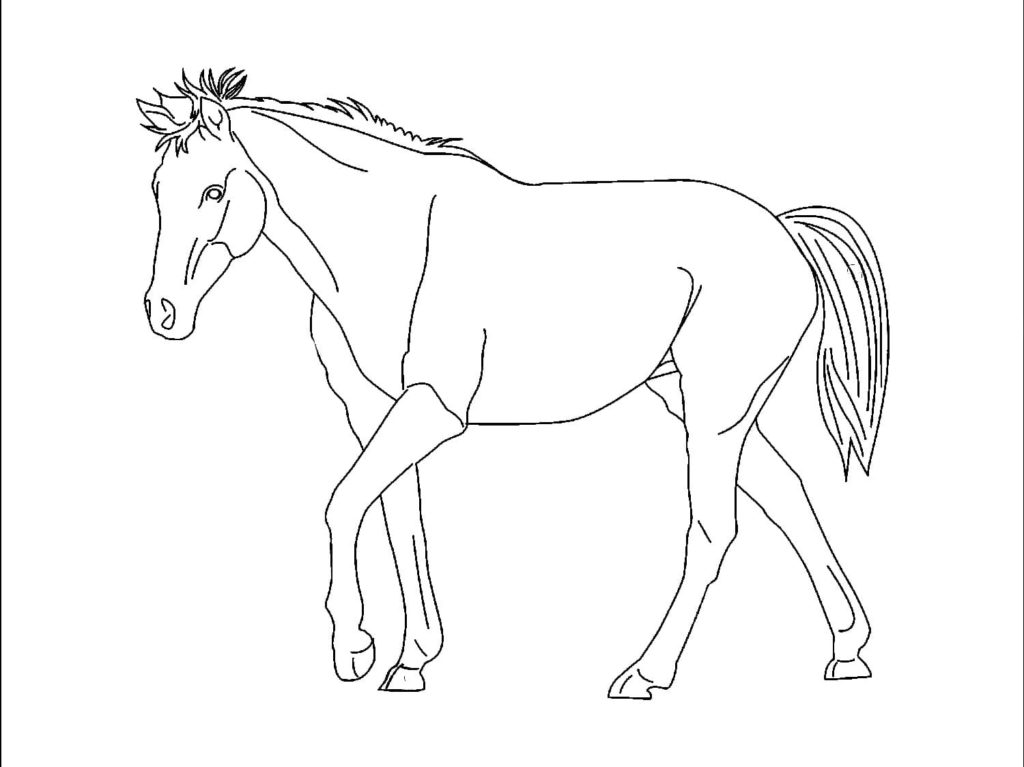 Desenhos para colorir de desenho de um cavalo sorrindo para