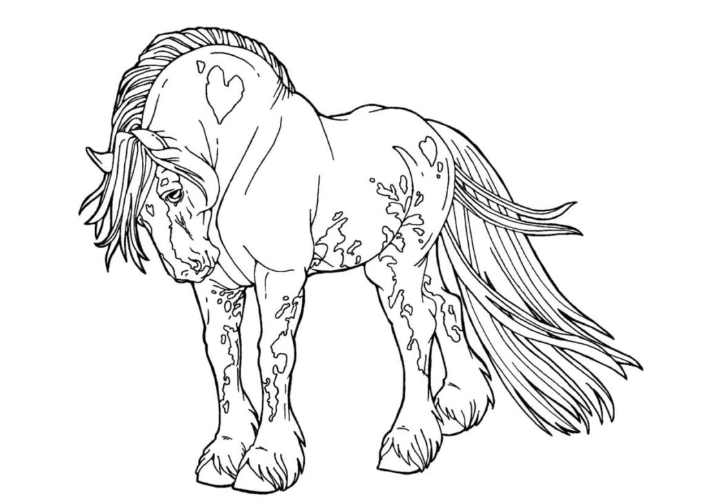 Лошадь с сердцем