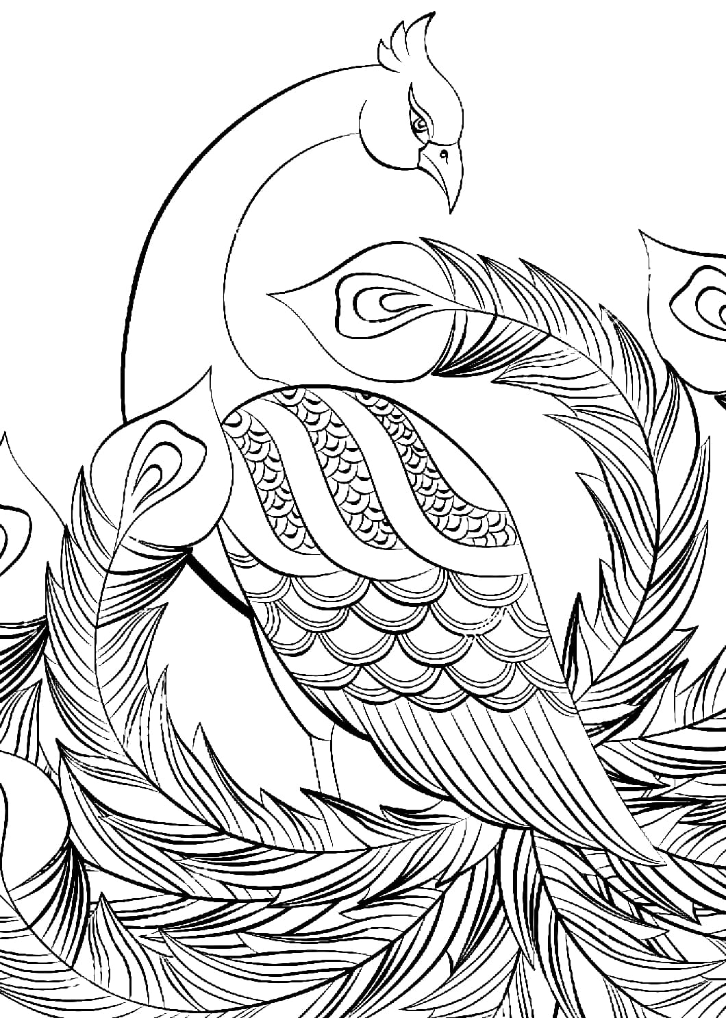 Phoenix approaching the sun - Valentin Adult Coloring Pages