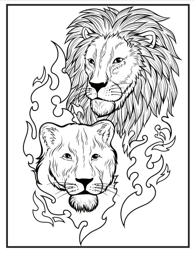 tigre y león