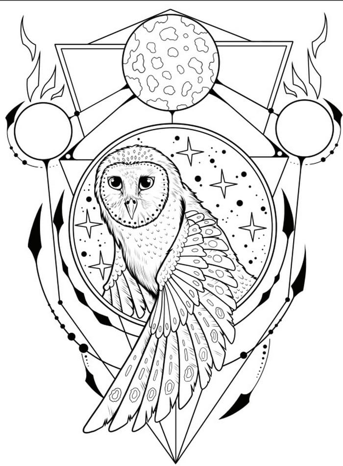 Owl and planets