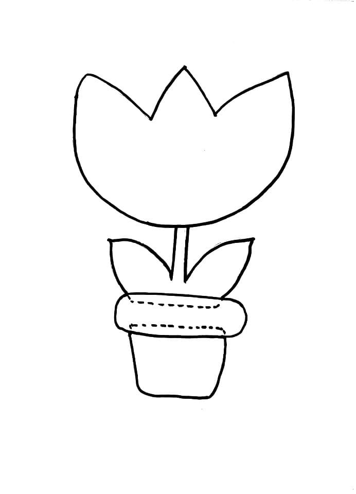 Fleur en pot