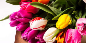 Disegni da colorare di tulipani