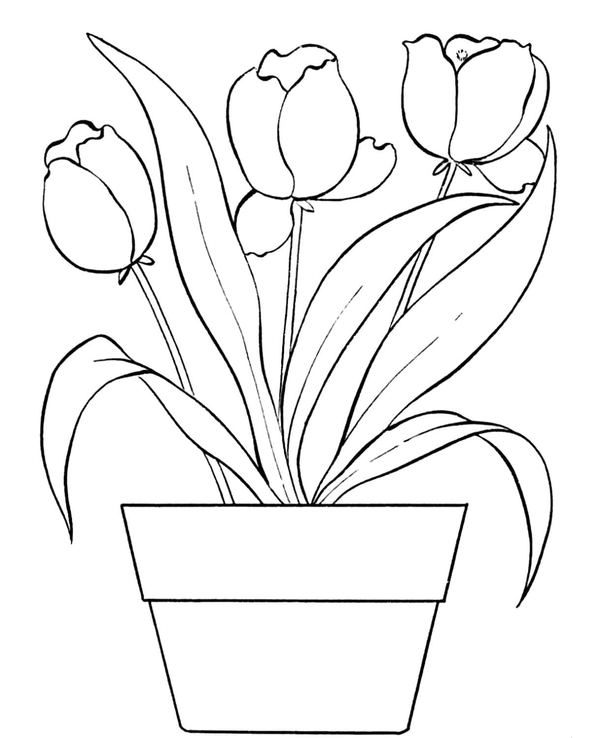 Dibujos de Tulipanes para colorear | WONDER DAY — Dibujos para colorear para  niños y adultos