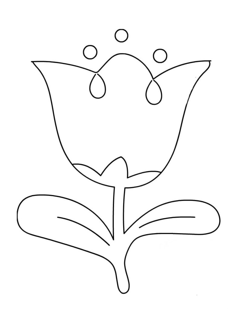 тюльпан