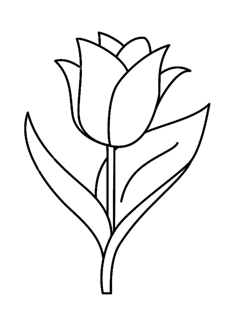 Tulpe mit Blättern