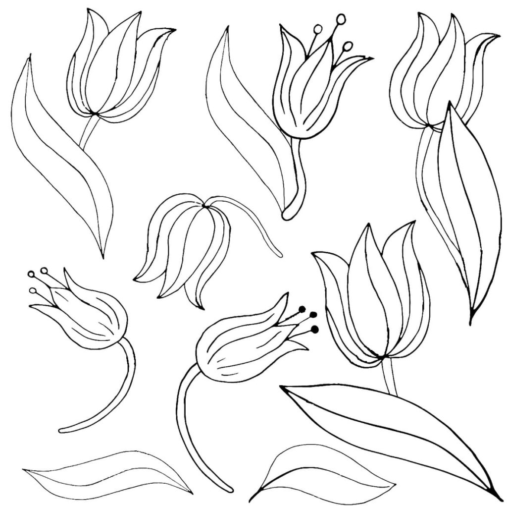 muchos tulipanes