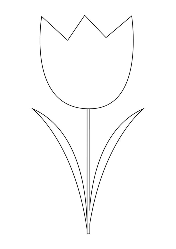 Motif tulipe