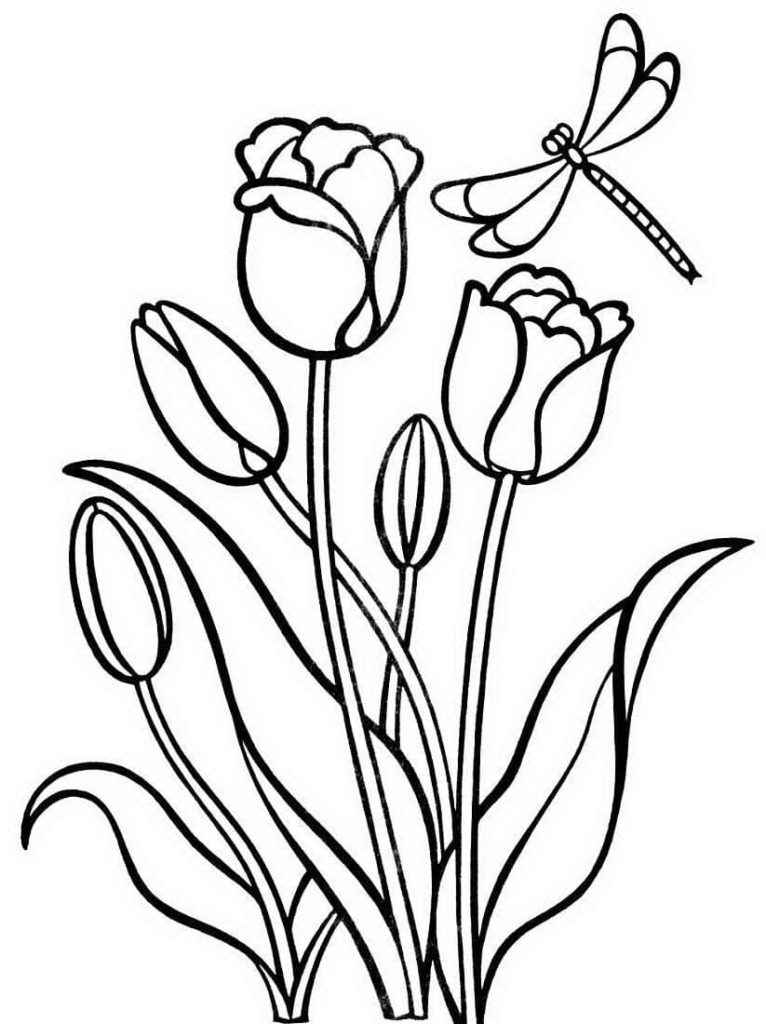 tulipanes y libélula