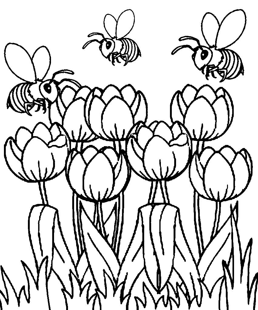 Les abeilles survolent les fleurs