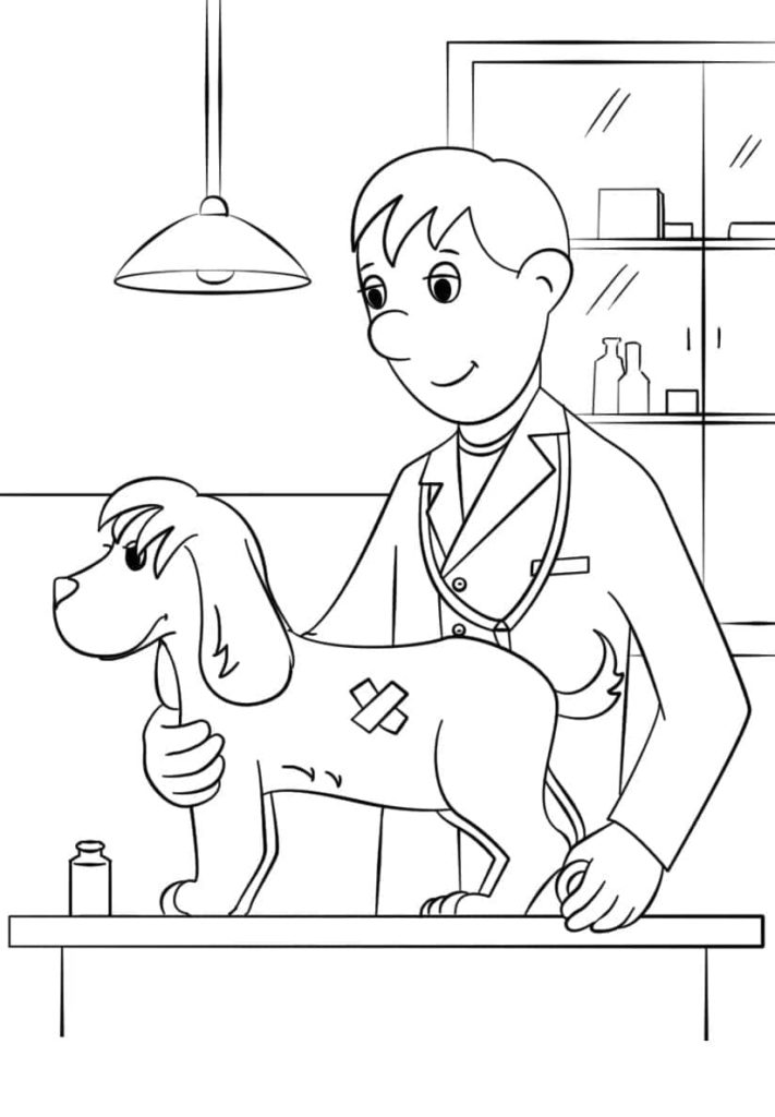 Veterinario