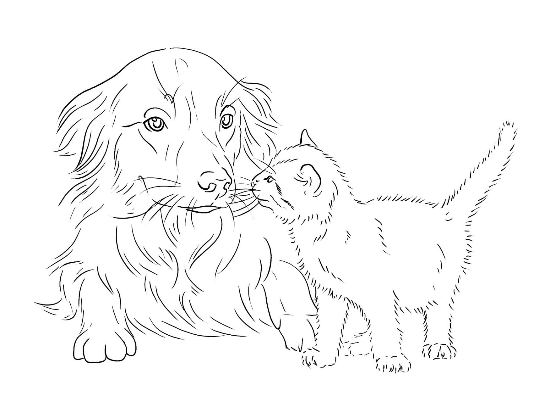23+ Kitten And Puppy Coloring Pages