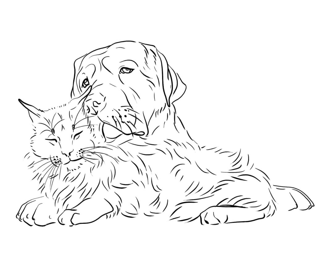 Realistic cat and dog