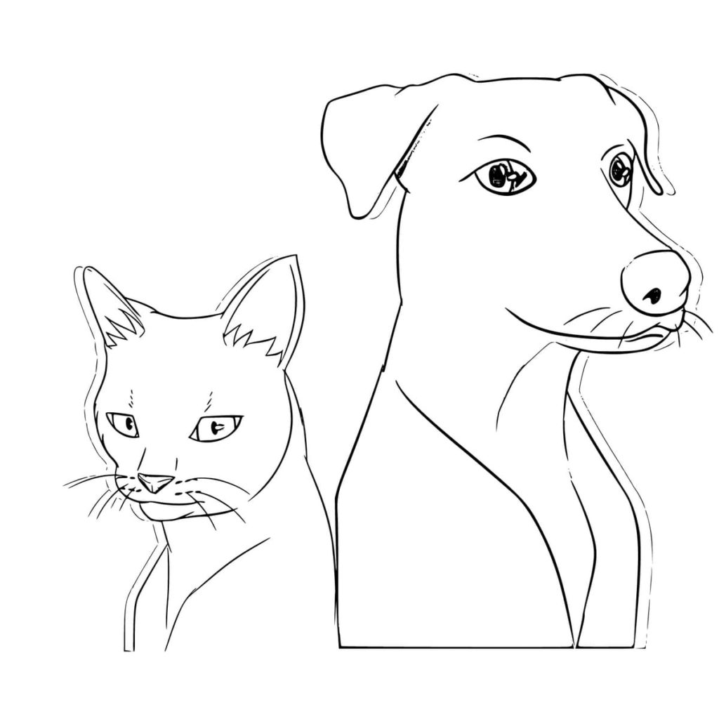 Caras de gato e cachorro