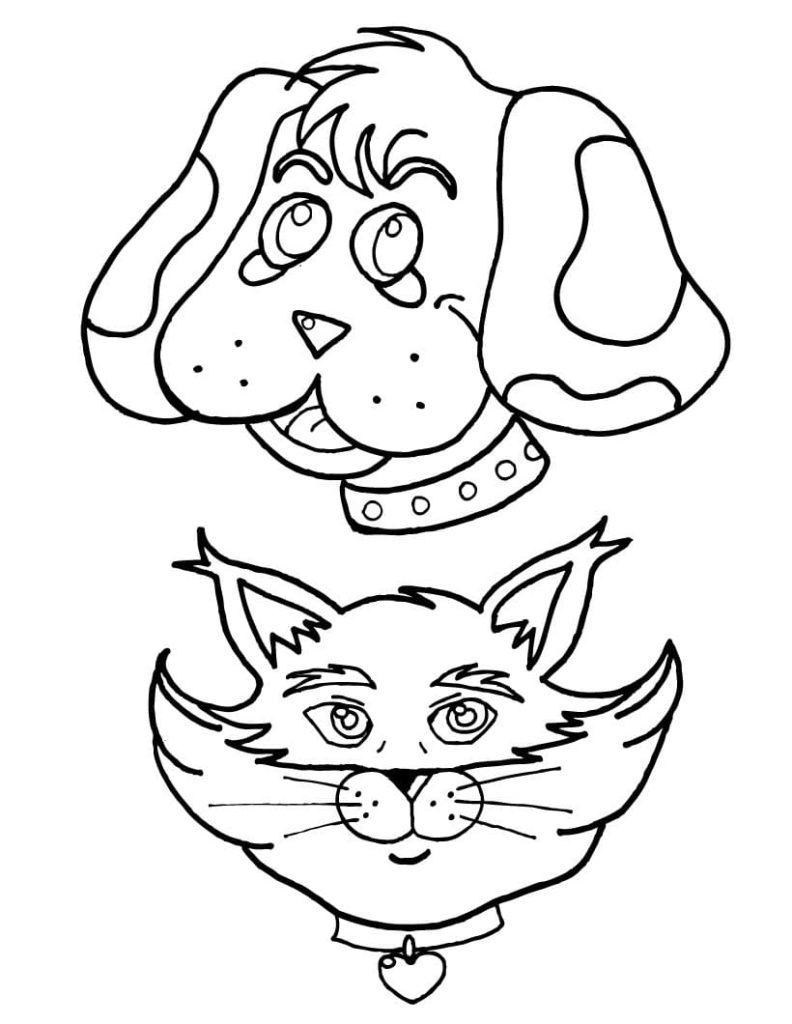Muzzle of a cat and a dog