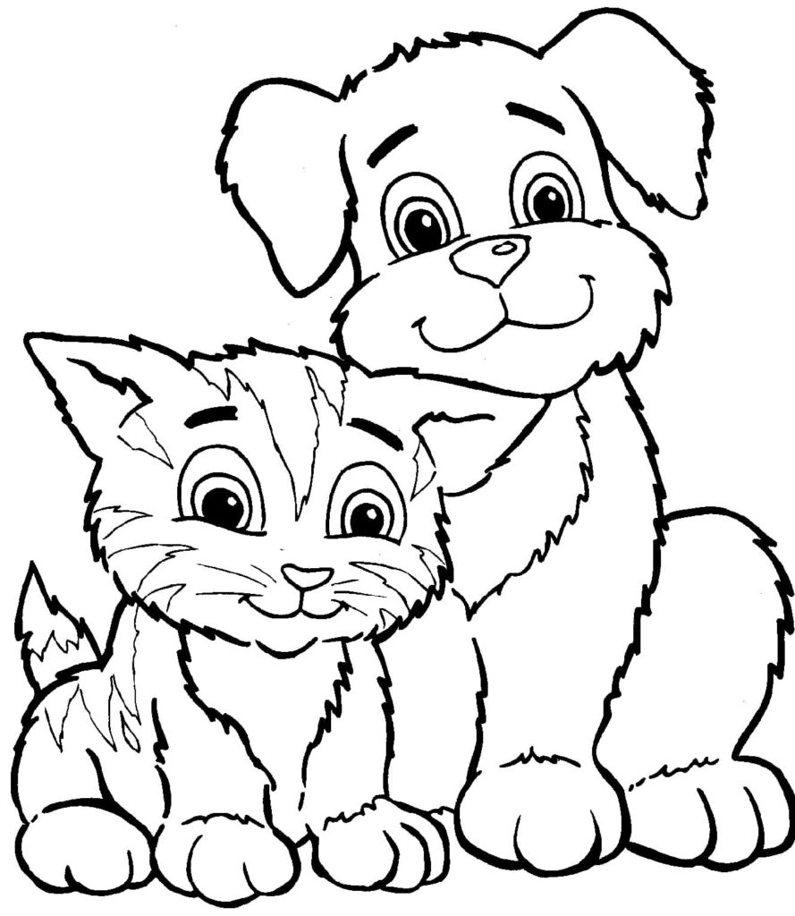 Дружные кошка и собака