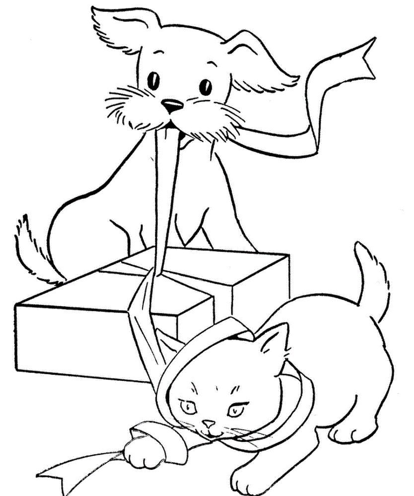 Cat and dog open a gift