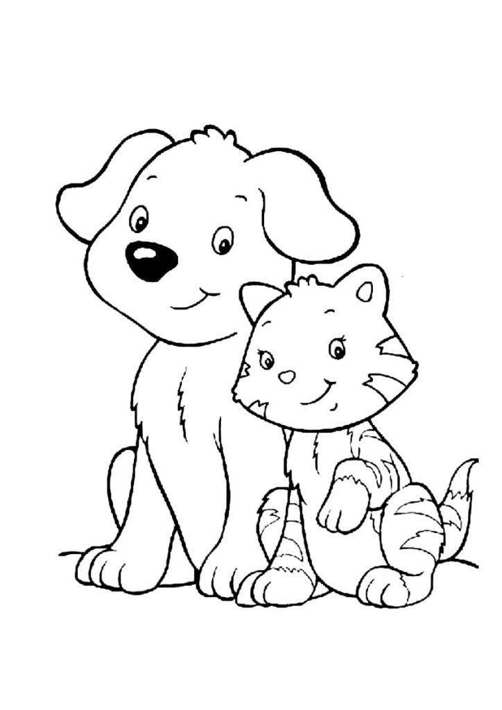Puppy and tabby kitten