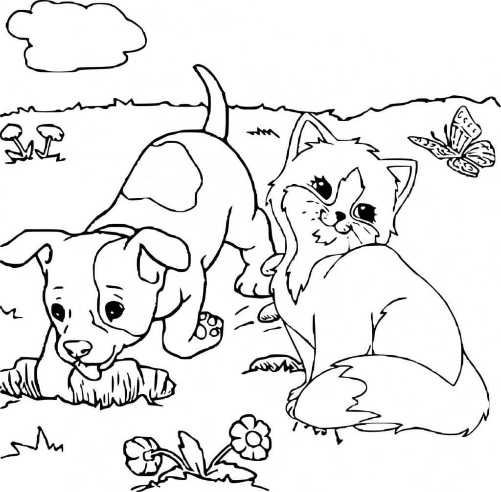 Hund, Katze und Schmetterling