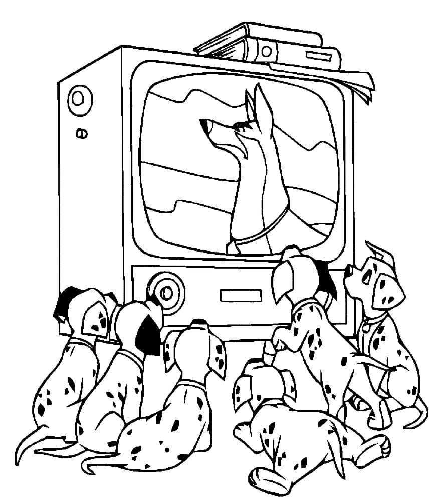 Dalmatians watch TV