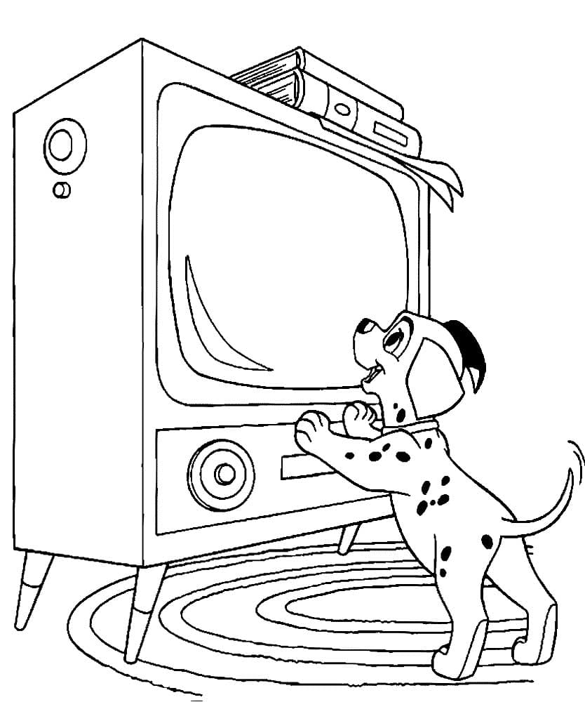 Filhote de cachorro e TV