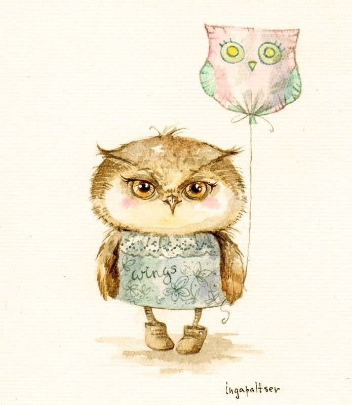 Owl drawing