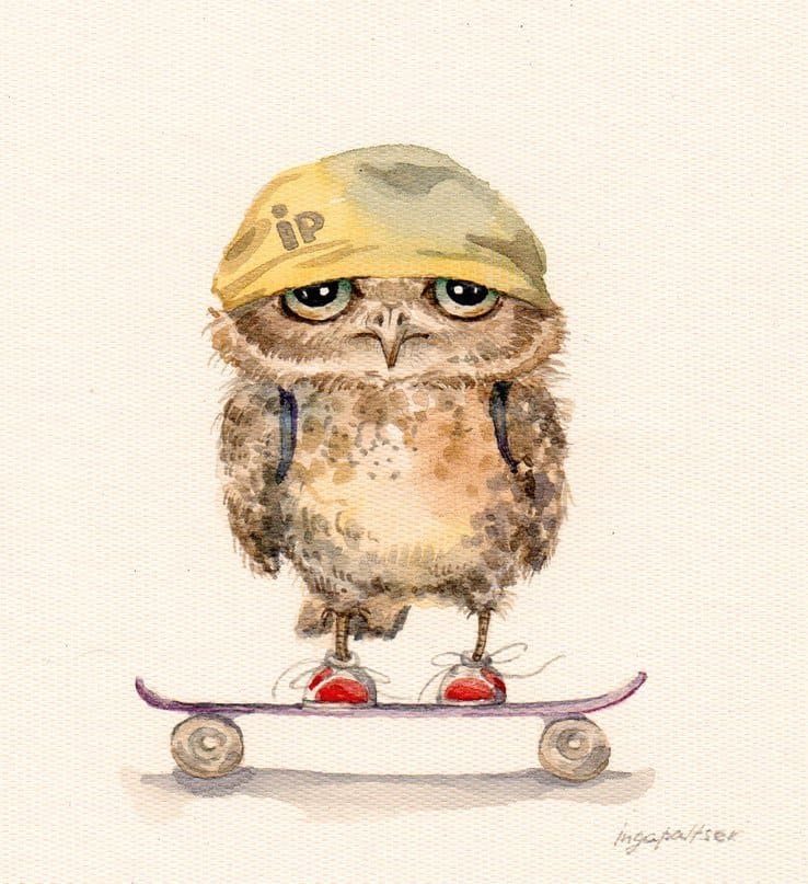 Owl on a skateboard