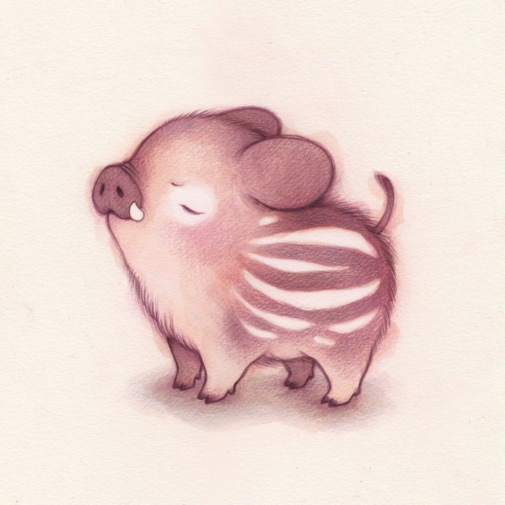 Cute boar