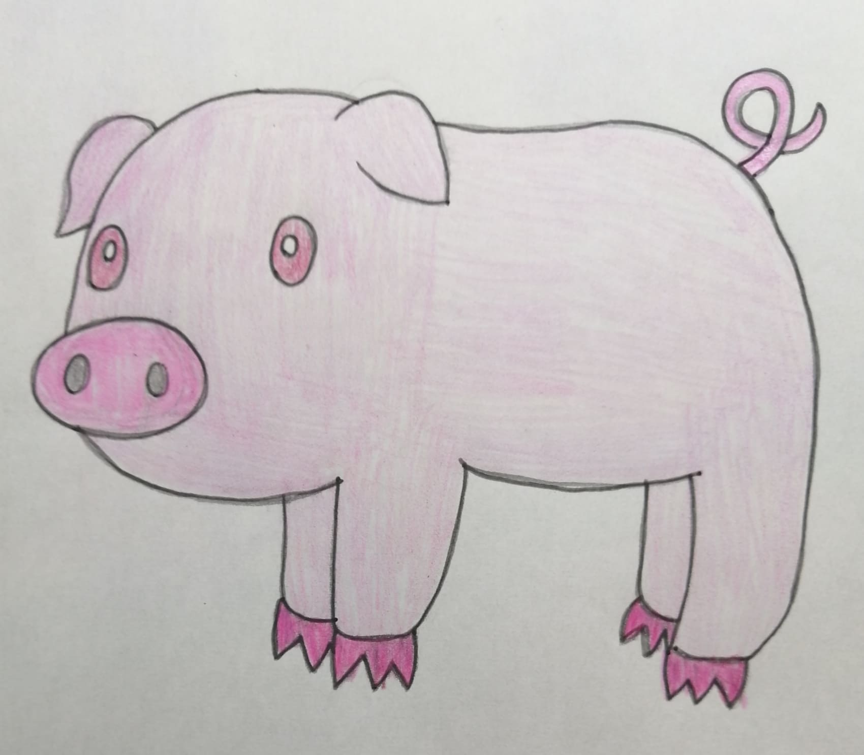 Cute Pig Drawing - Cute Pig - Pin | TeePublic