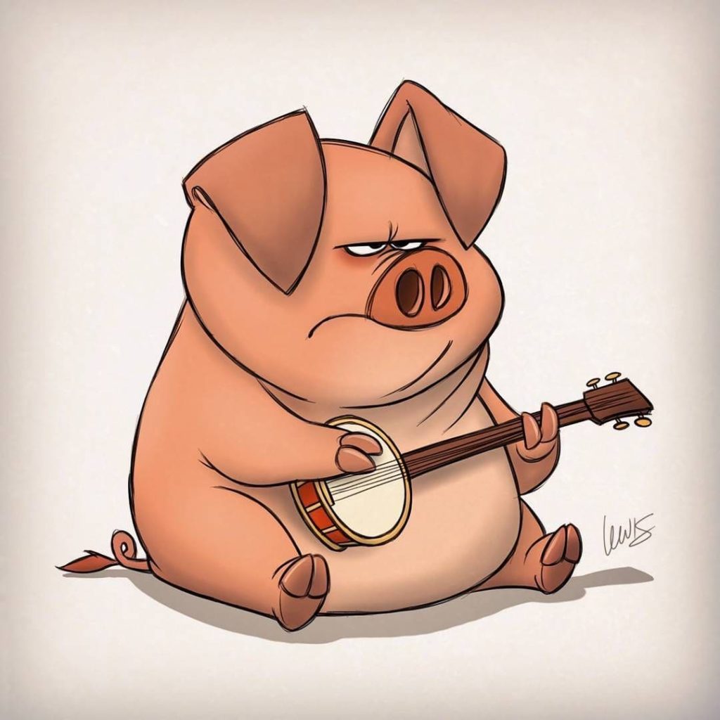 musical pig