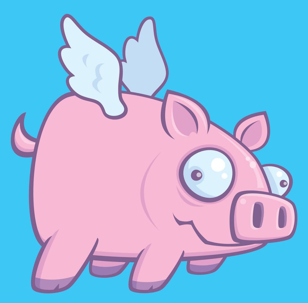 Schwein mit Flügeln