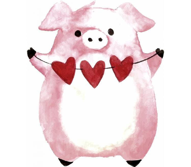 Pig with hearts
